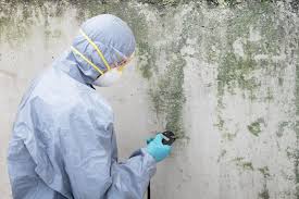 Best Mold Remediation for Healthcare Facilities  in Lake Crystal, MN